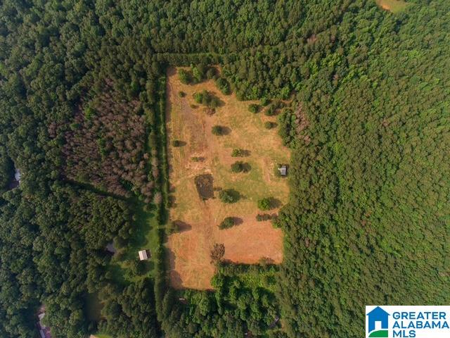 0 Stone Ridge Trail, Unit 50 87 Anniston, AL 36207 - Photo 9 of 15