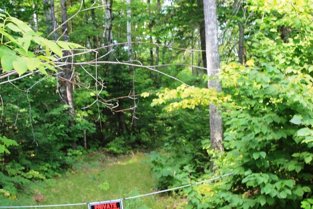 0 Bennett Pond Road Parkman, ME 04443 - Photo 9 of 12 Photo