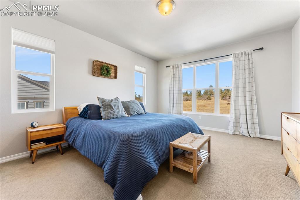 10484 Wrangell Circle Colorado Springs, CO 80924 - Photo 19 of 50 a bedroom with a bed and a window