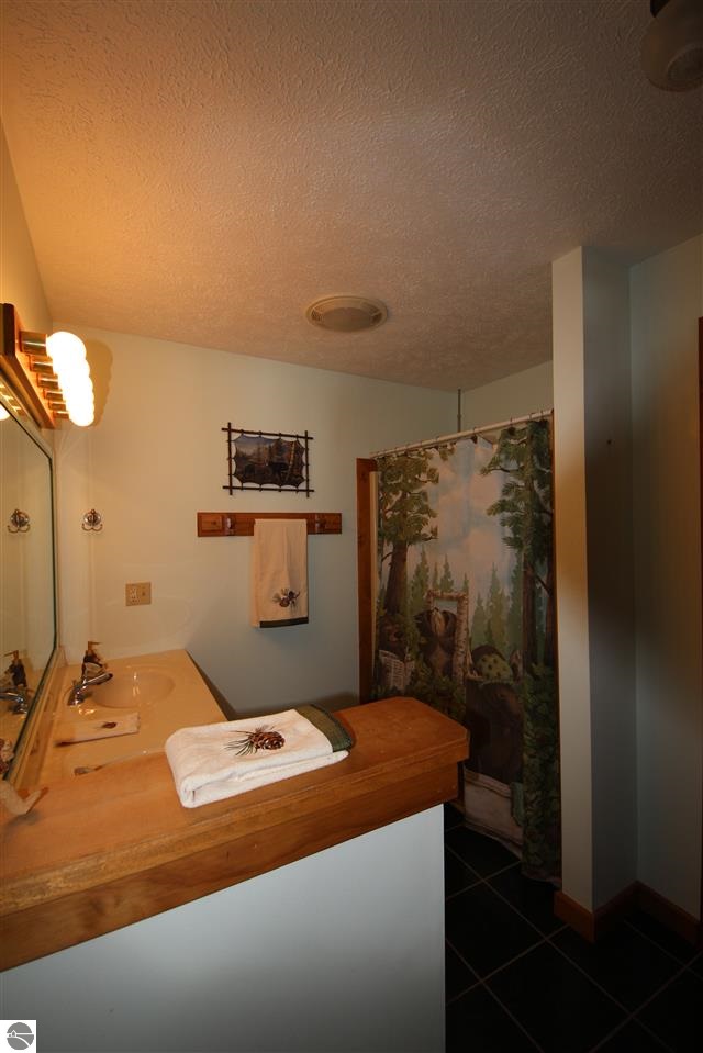 1239 North Betsie River Road Interlochen, MI 49643 - Photo 18 of 18 1795833-17.JPG