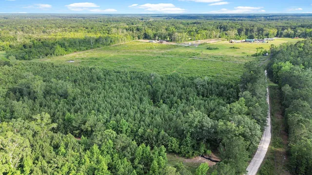 $1,600,000 | 13959 Cottageville Highway, Cottageville, SC 29435