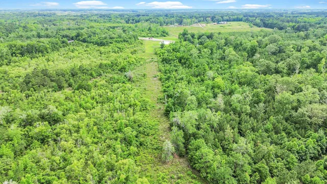 $1,600,000 | 13959 Cottageville Highway, Cottageville, SC 29435