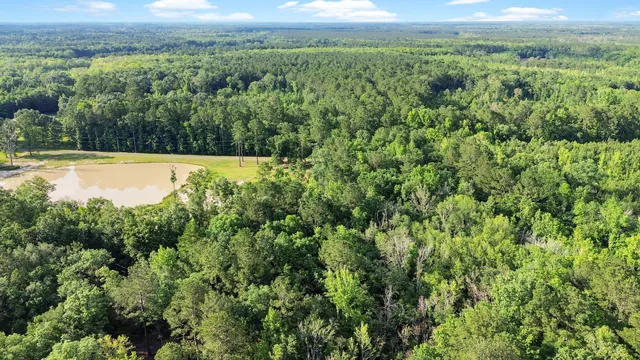 $1,600,000 | 13959 Cottageville Highway, Cottageville, SC 29435