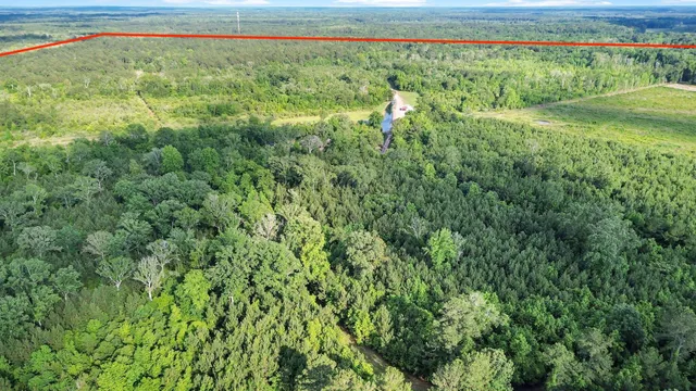 $1,600,000 | 13959 Cottageville Highway, Cottageville, SC 29435