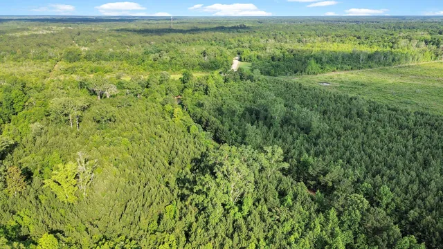 $1,600,000 | 13959 Cottageville Highway, Cottageville, SC 29435