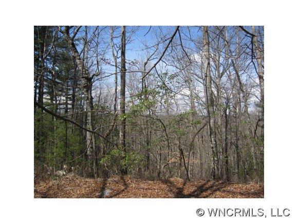 L-8 Chestnut Cove Road Brevard, NC 28712 - Photo 1 of 6 Gallery Image 1