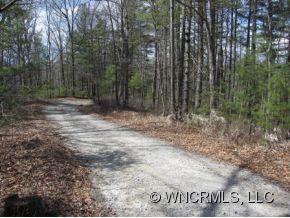 L-8 Chestnut Cove Road Brevard, NC 28712 - Photo 2 of 6 Gallery Image 2