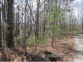L-8 Chestnut Cove Road Brevard, NC 28712 - Photo 4 of 6 Gallery Image 4