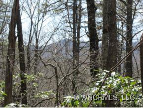 L-8 Chestnut Cove Road Brevard, NC 28712 - Photo 5 of 6 Gallery Image 5