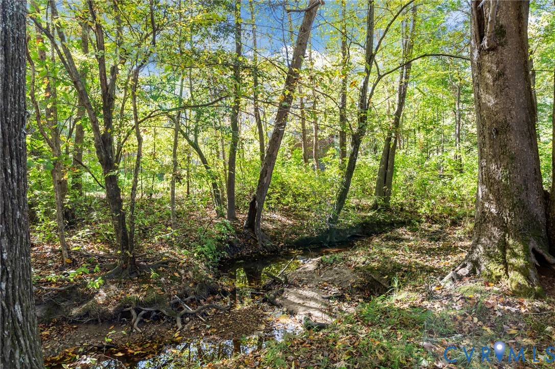 5329 Meadoway Road North Chesterfield, VA 23234 - Photo 16 of 18 A small stream graces the side of the rear yard.