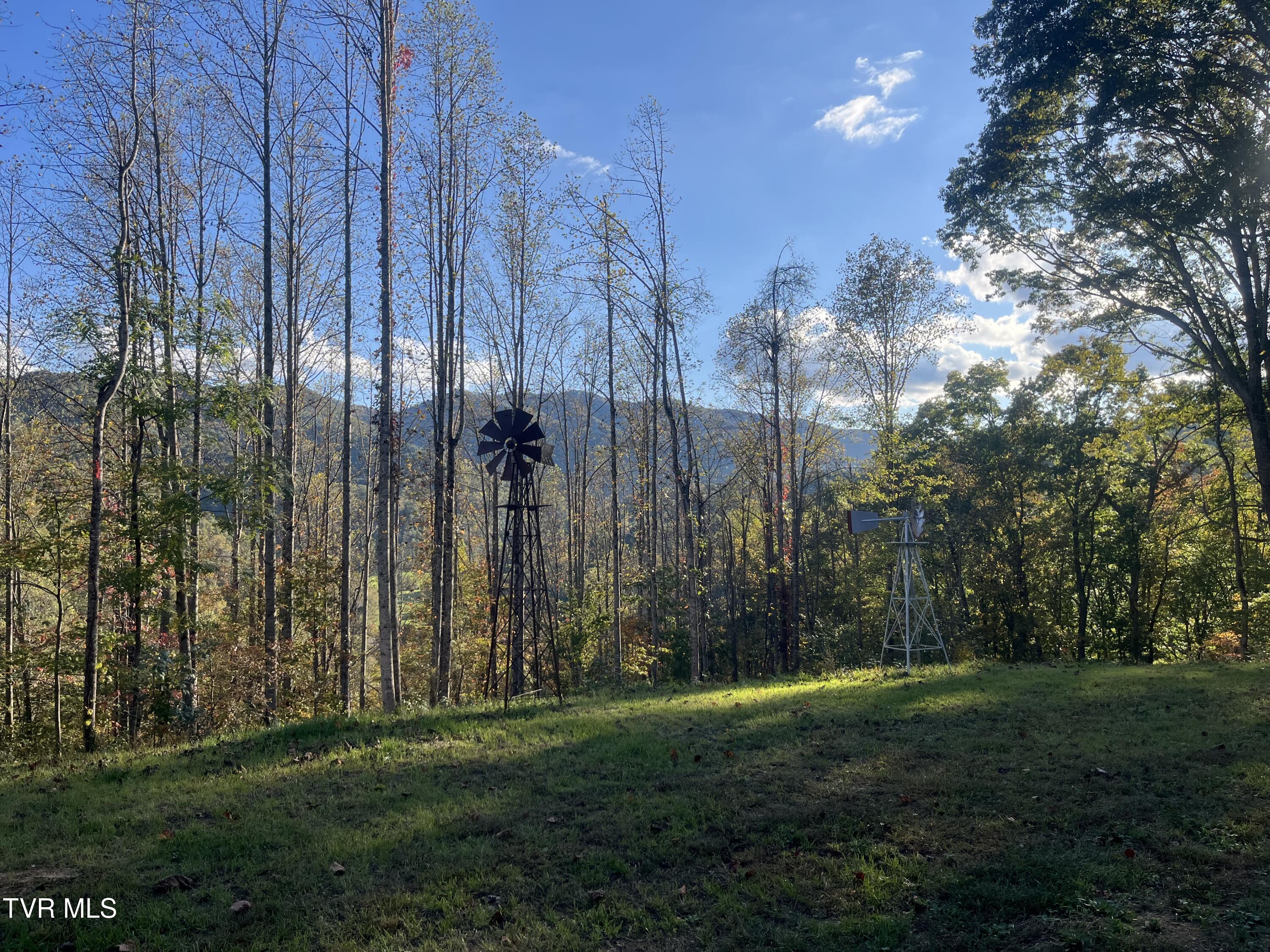 1575 Rice Creek Road Flag Pond, TN 37657 - Photo 6 of 23 IMG_9791