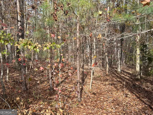 a backyard of a house with lots of trees