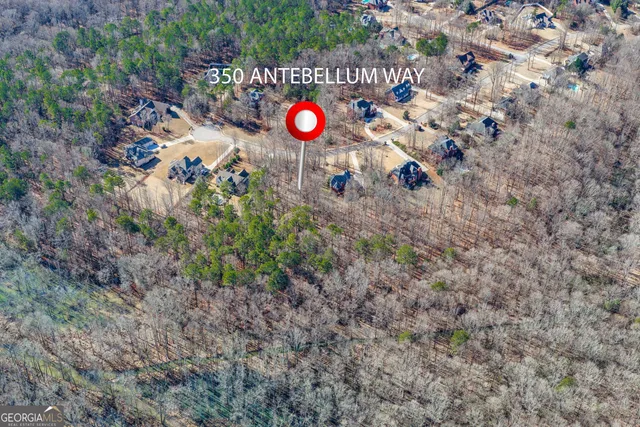 a view of a pathway both side of a road