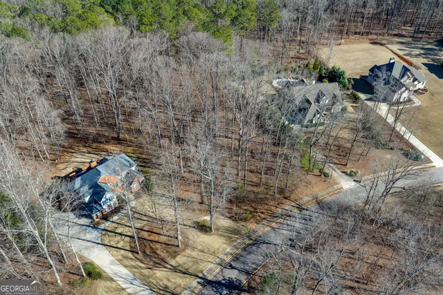 a view of a yard with plants