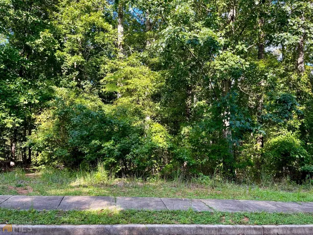 a view of a lush green forest