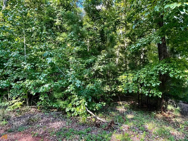 a view of a yard with large trees