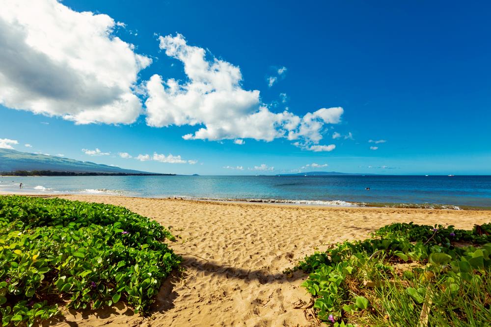 115 North Kihei Road, Unit B1 Kihei, HI 96753 - Photo 18 of 29 a view of a lake
