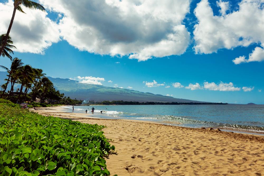 115 North Kihei Road, Unit B1 Kihei, HI 96753 - Photo 19 of 29