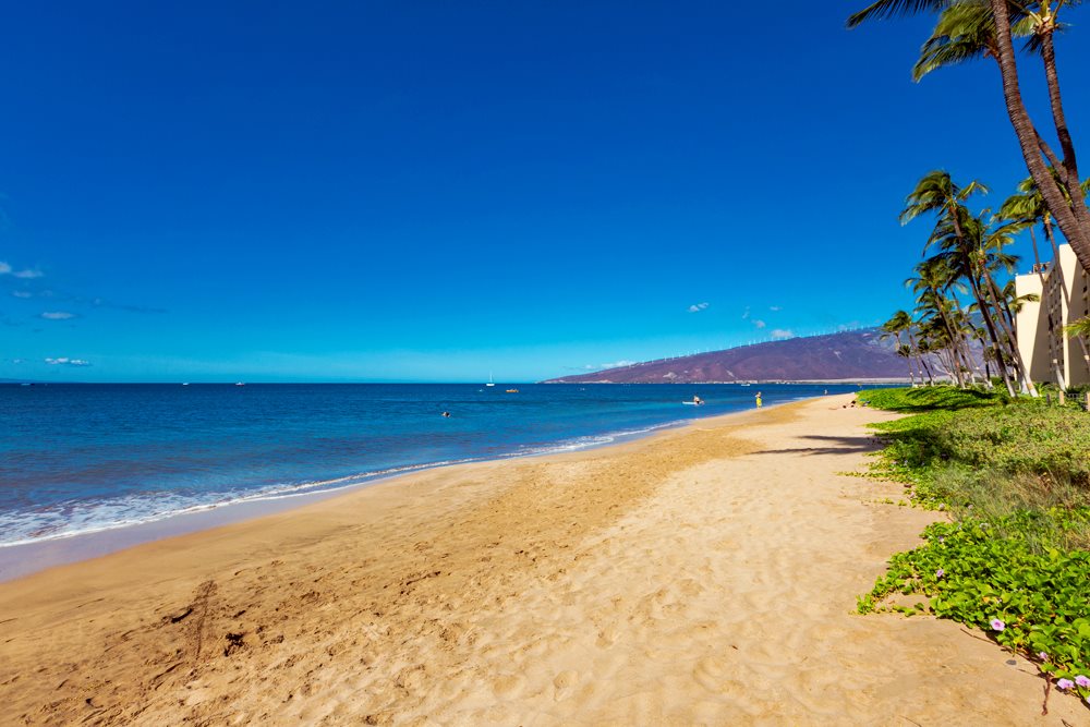 115 North Kihei Road, Unit B1 Kihei, HI 96753 - Photo 28 of 29 a view of an ocean and beach