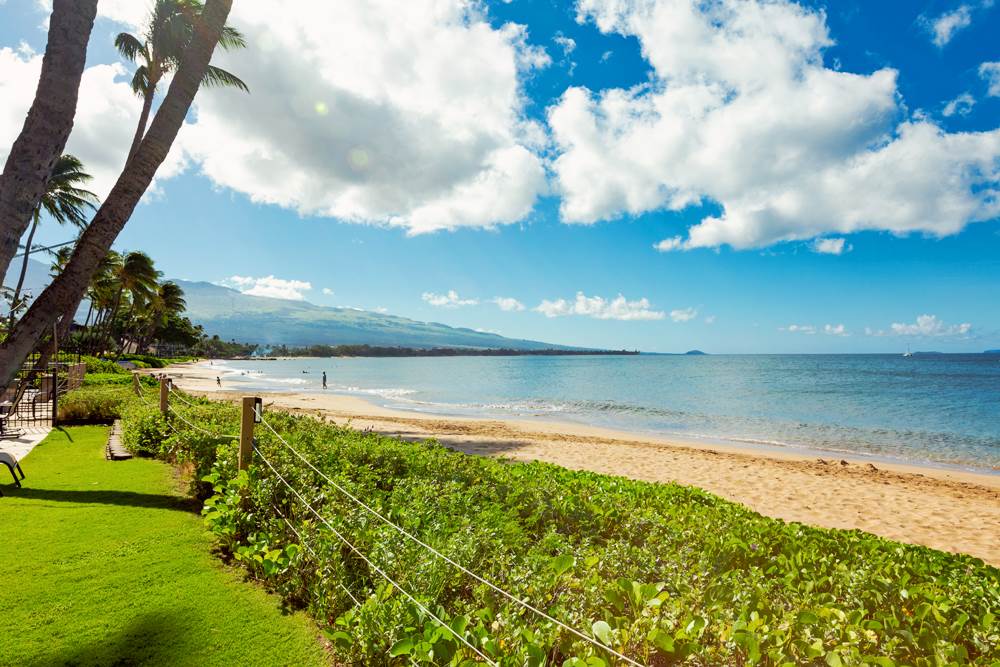 115 North Kihei Road, Unit B1 Kihei, HI 96753 - Photo 29 of 29
