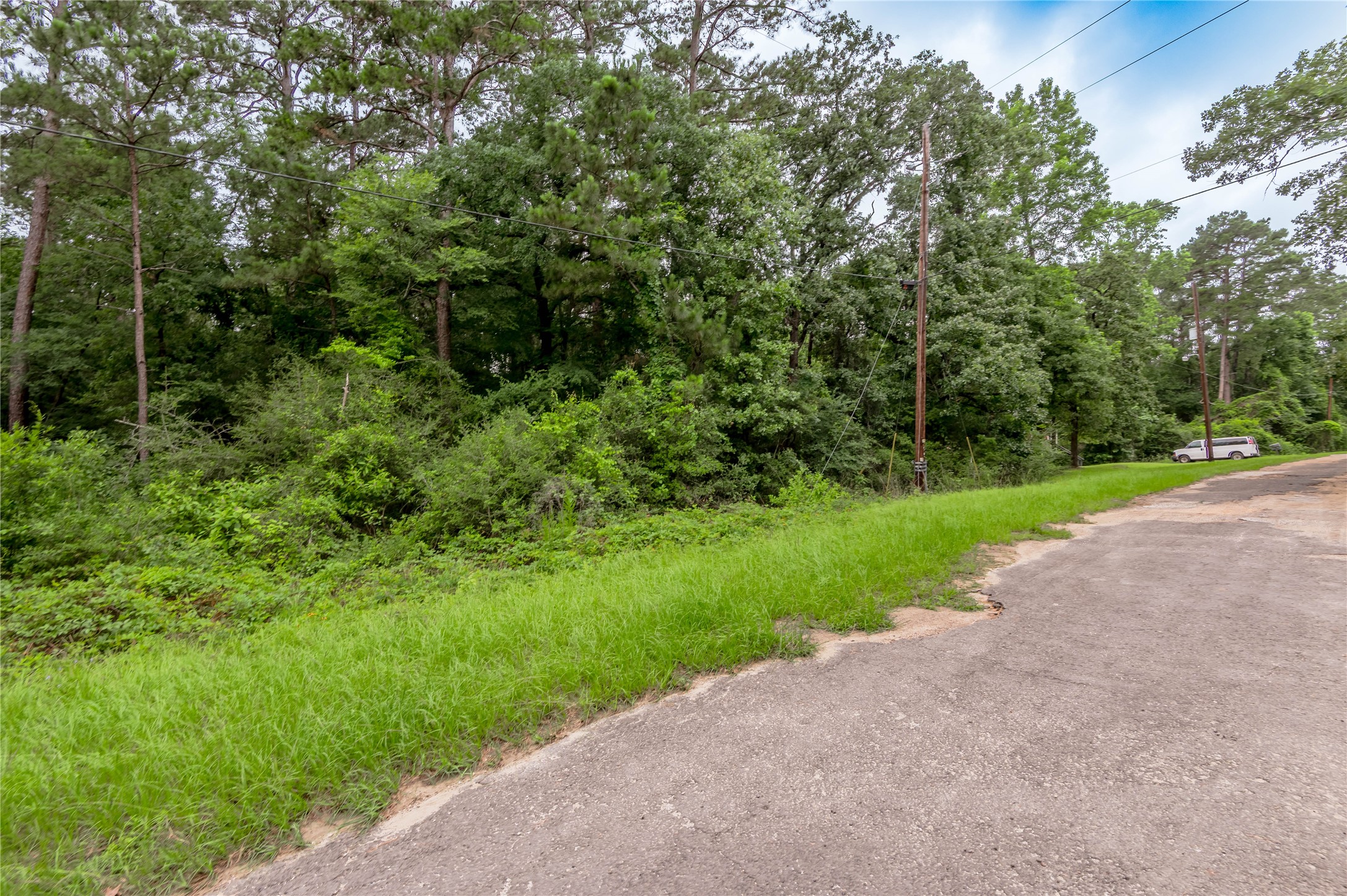 Lot 57 Post Oak Circle Trinity, TX 75862 - Photo 4 of 29