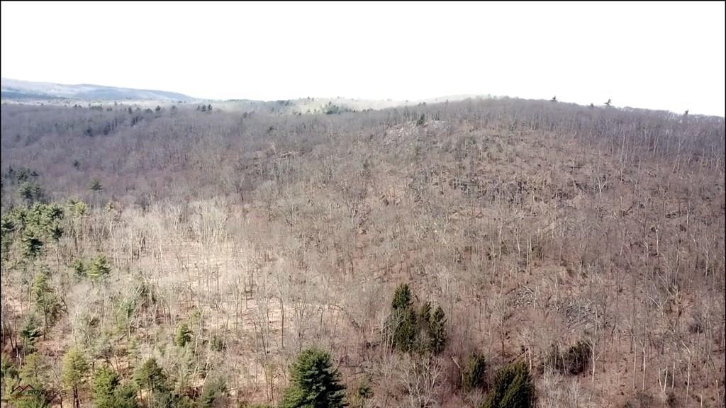 2156 Calkins Road Palmer, MA 01069 - Photo 23 of 26 Gallery Image 23