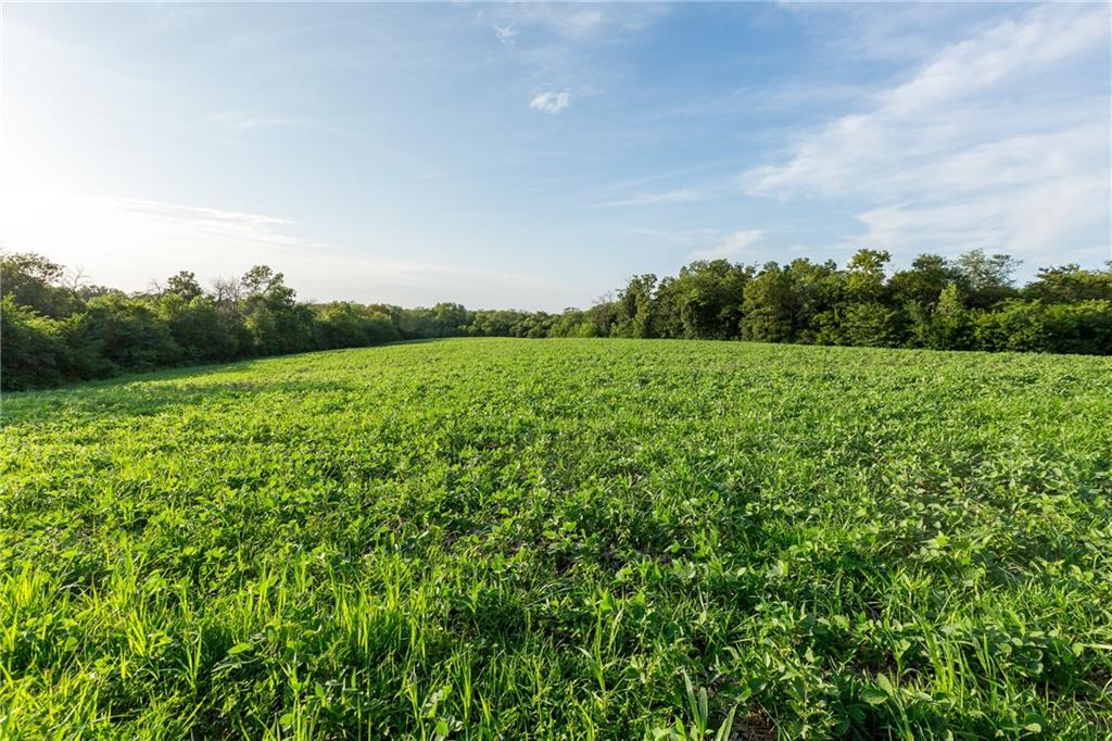 12307 Crescent Road Gilman City, MO 64642 - Photo 20 of 63