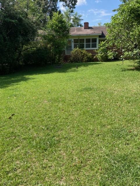 821 Nebula Road Manchester, GA 31816 - Photo 17 of 17 Backyard