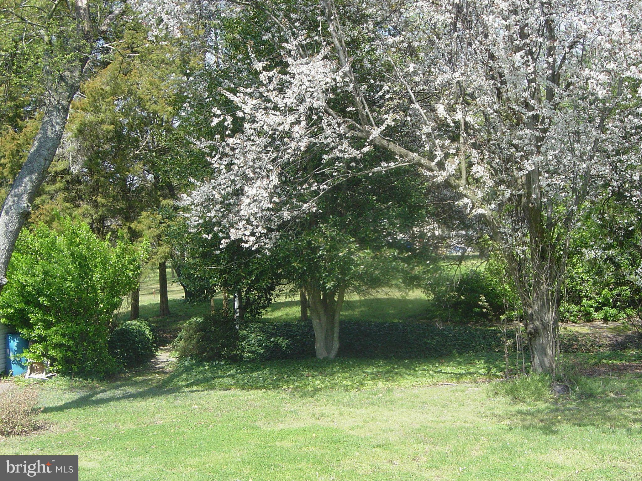 5558 Bonnie Brook Road Cambridge, MD 21613 - Photo 22 of 25 Back Yard