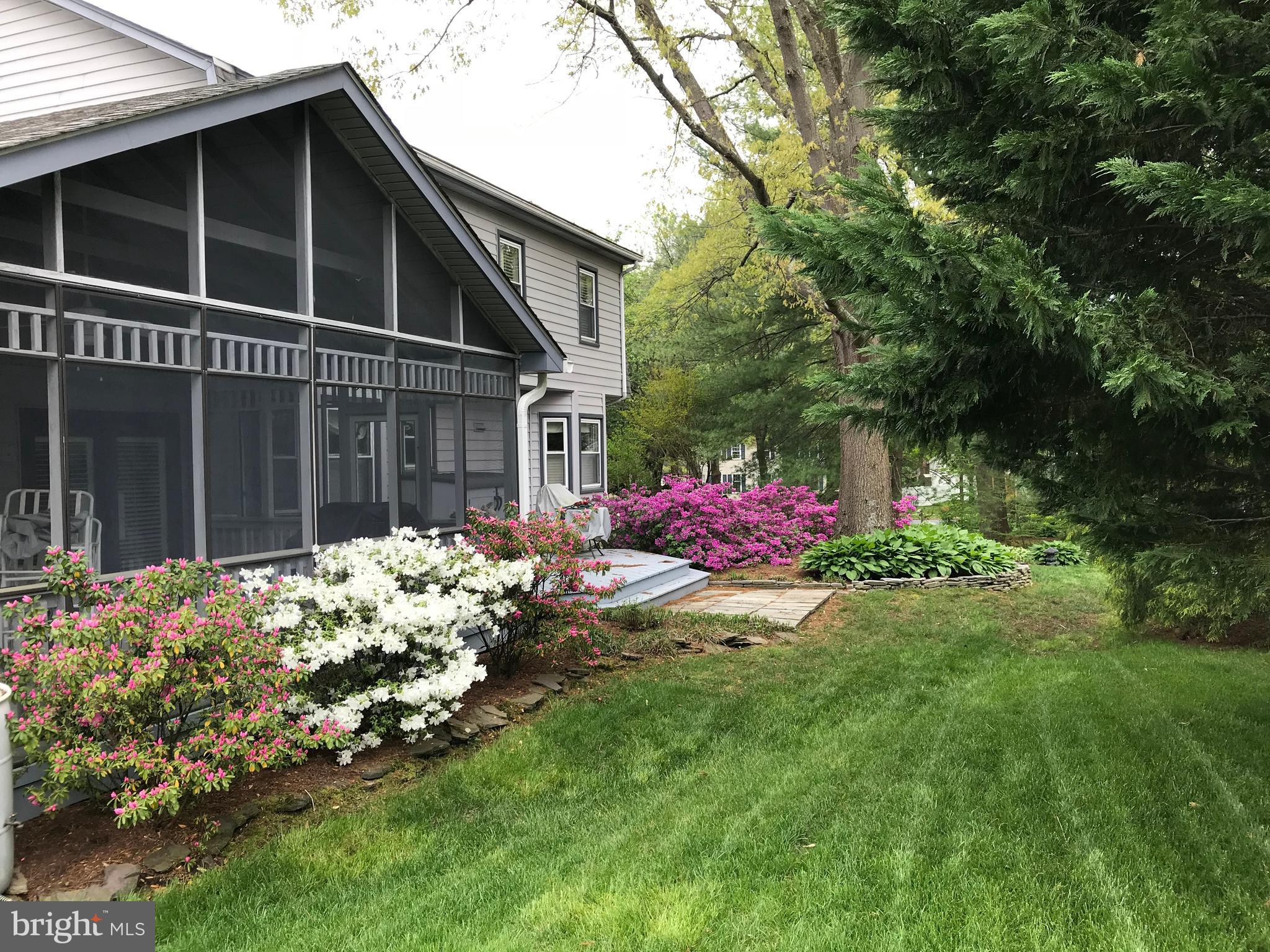 252 Charring Court Riva, MD 21140 - Photo 3 of 57 Backyard during Spring Bloom 2020
