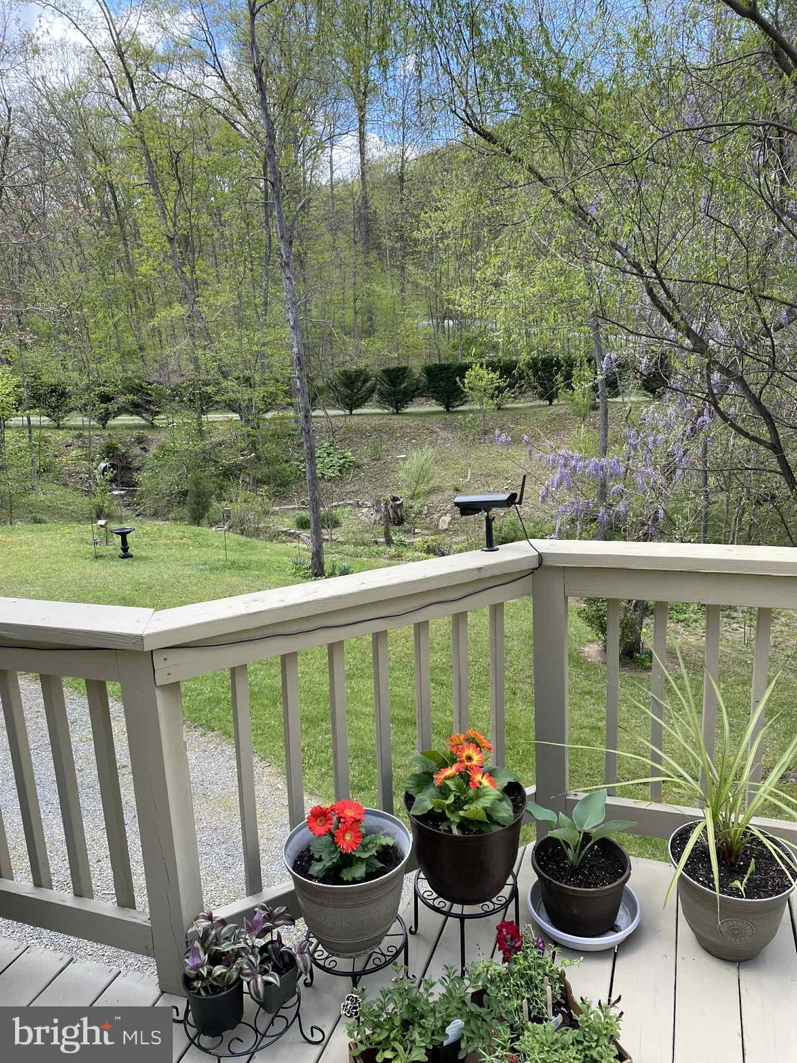 3837 Graces Cabin Road Springfield, WV 26757 - Photo 11 of 75