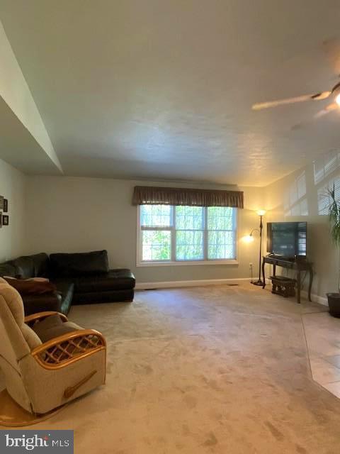 3837 Graces Cabin Road Springfield, WV 26757 - Photo 16 of 75