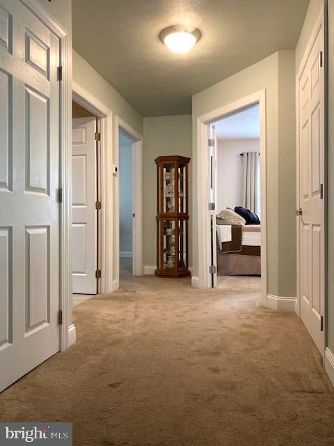 3837 Graces Cabin Road Springfield, WV 26757 - Photo 22 of 75