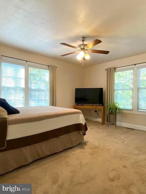 3837 Graces Cabin Road Springfield, WV 26757 - Photo 23 of 75