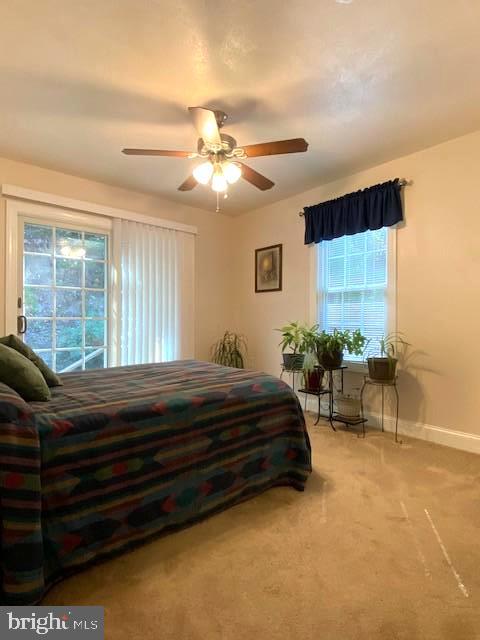 3837 Graces Cabin Road Springfield, WV 26757 - Photo 25 of 75