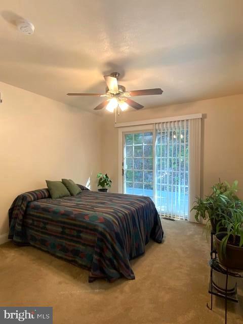 3837 Graces Cabin Road Springfield, WV 26757 - Photo 26 of 75