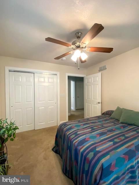 3837 Graces Cabin Road Springfield, WV 26757 - Photo 27 of 75