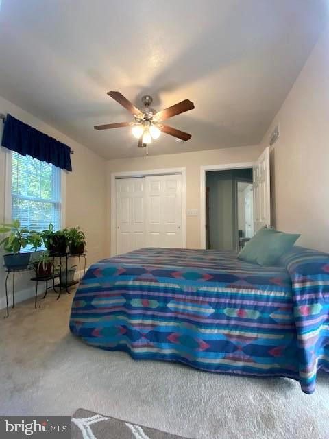 3837 Graces Cabin Road Springfield, WV 26757 - Photo 28 of 75