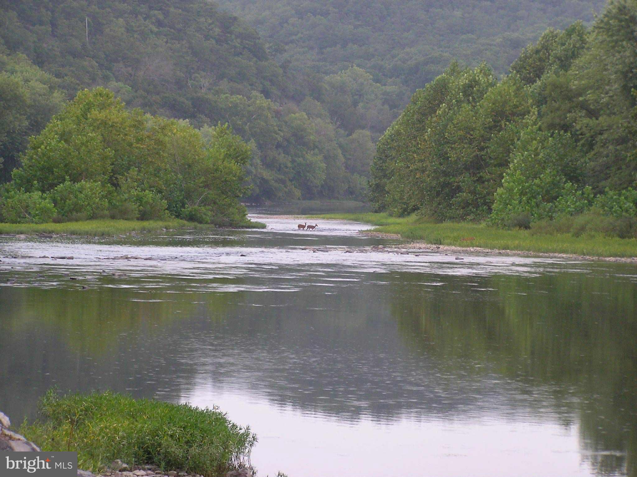 3837 Graces Cabin Road Springfield, WV 26757 - Photo 50 of 75