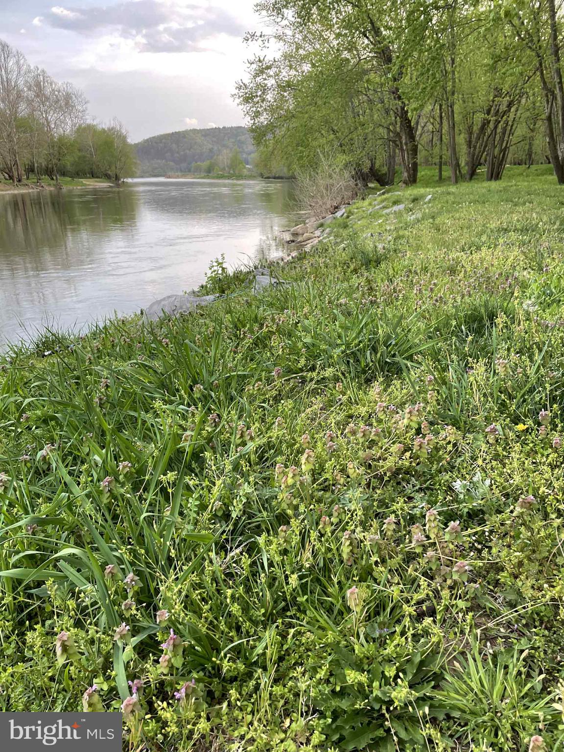 3837 Graces Cabin Road Springfield, WV 26757 - Photo 51 of 75