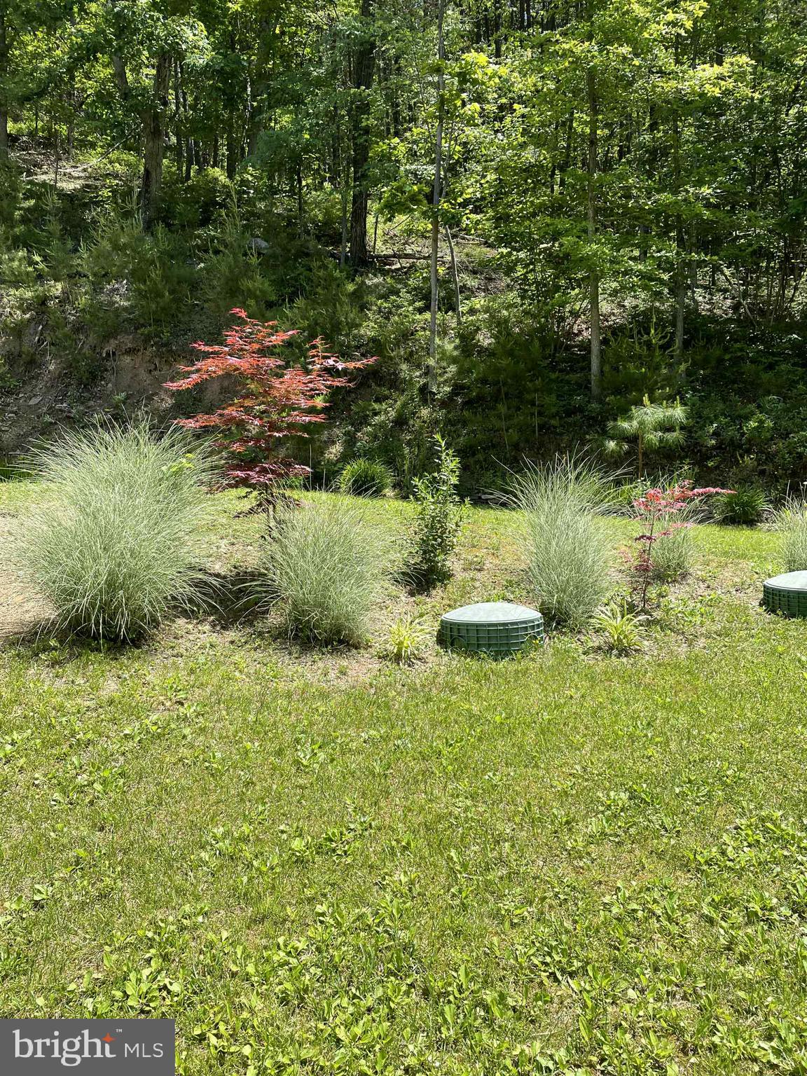 3837 Graces Cabin Road Springfield, WV 26757 - Photo 54 of 75