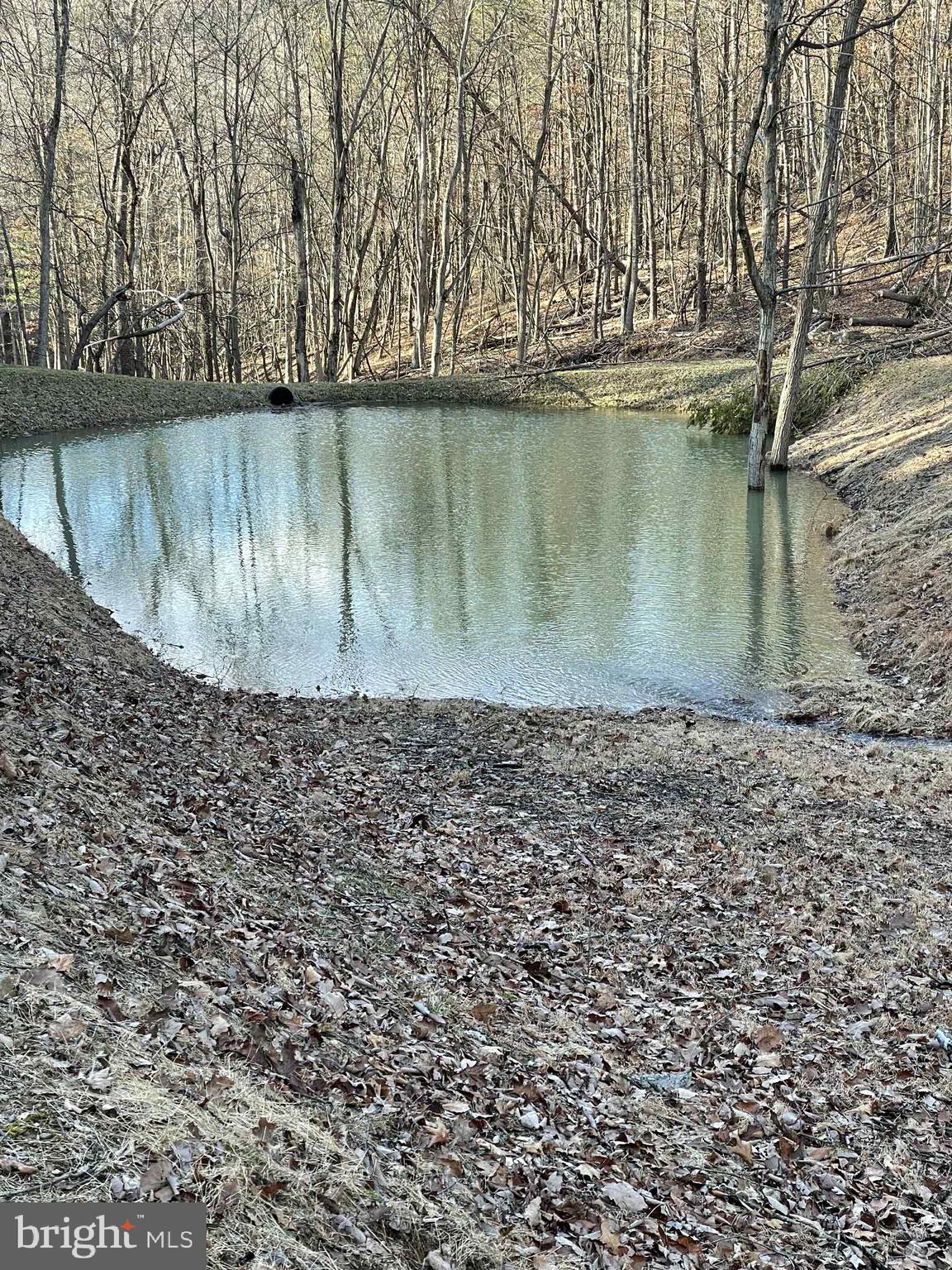 3837 Graces Cabin Road Springfield, WV 26757 - Photo 57 of 75