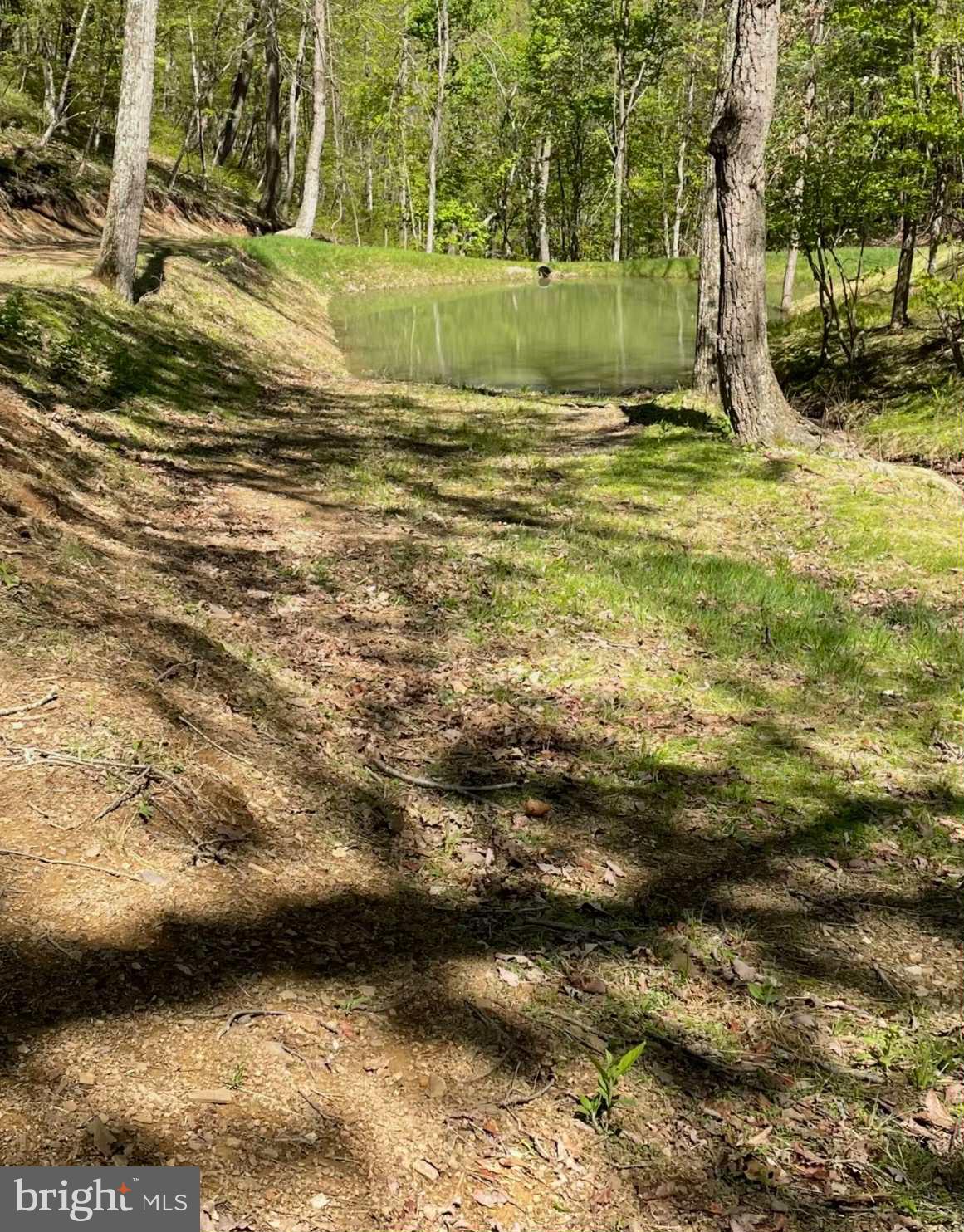 3837 Graces Cabin Road Springfield, WV 26757 - Photo 58 of 75