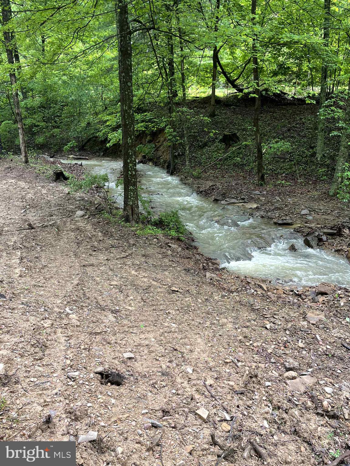 3837 Graces Cabin Road Springfield, WV 26757 - Photo 60 of 75