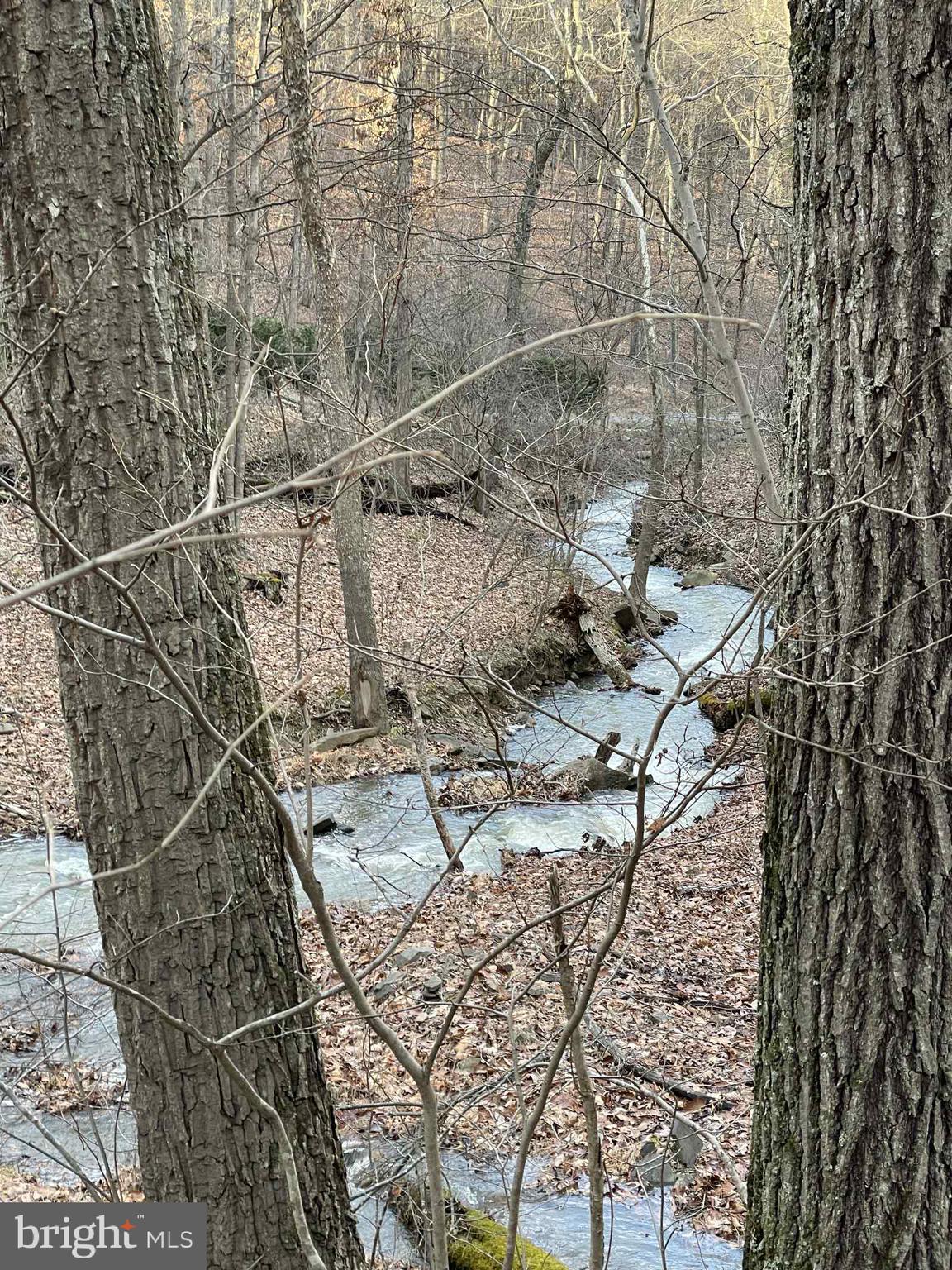 3837 Graces Cabin Road Springfield, WV 26757 - Photo 62 of 75