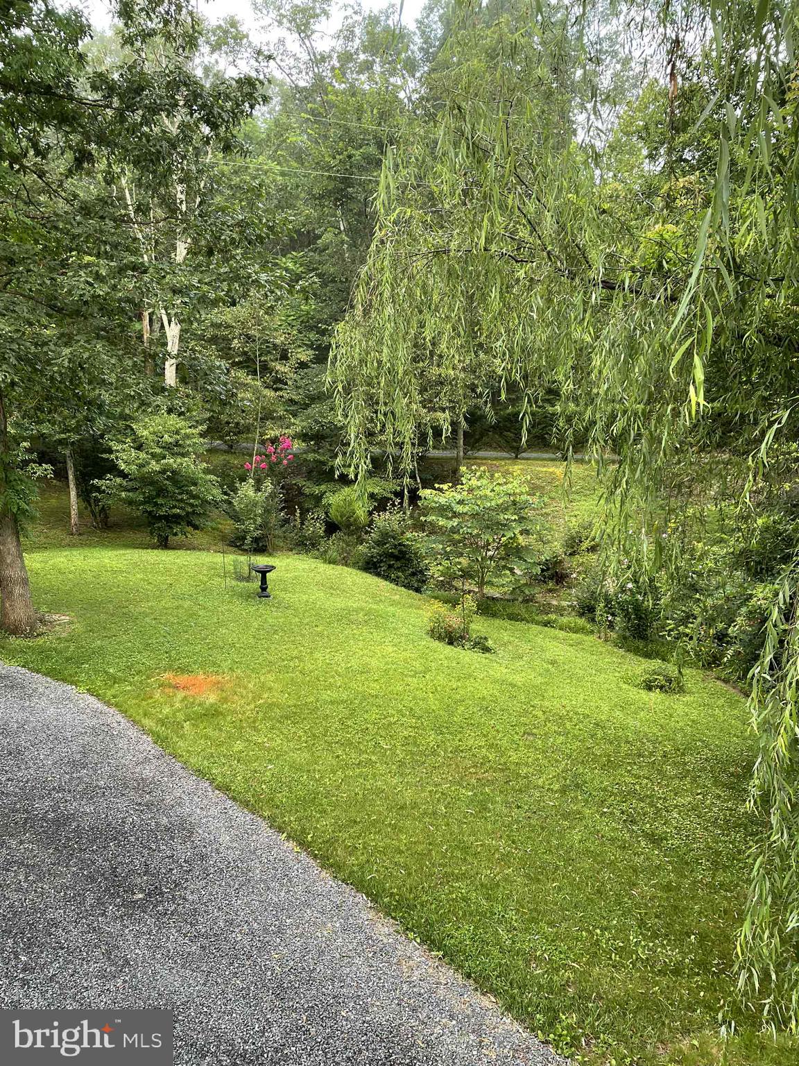 3837 Graces Cabin Road Springfield, WV 26757 - Photo 66 of 75