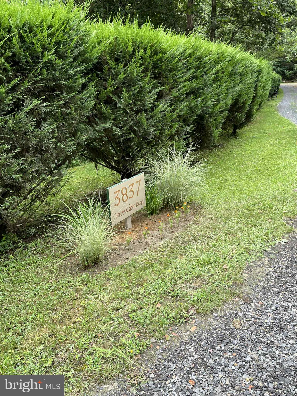 3837 Graces Cabin Road Springfield, WV 26757 - Photo 67 of 75