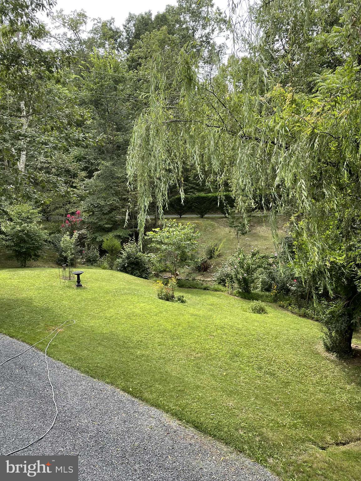 3837 Graces Cabin Road Springfield, WV 26757 - Photo 68 of 75