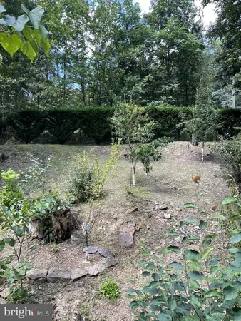 $499,900 | 3837 Graces Cabin Road, Springfield, WV 26763