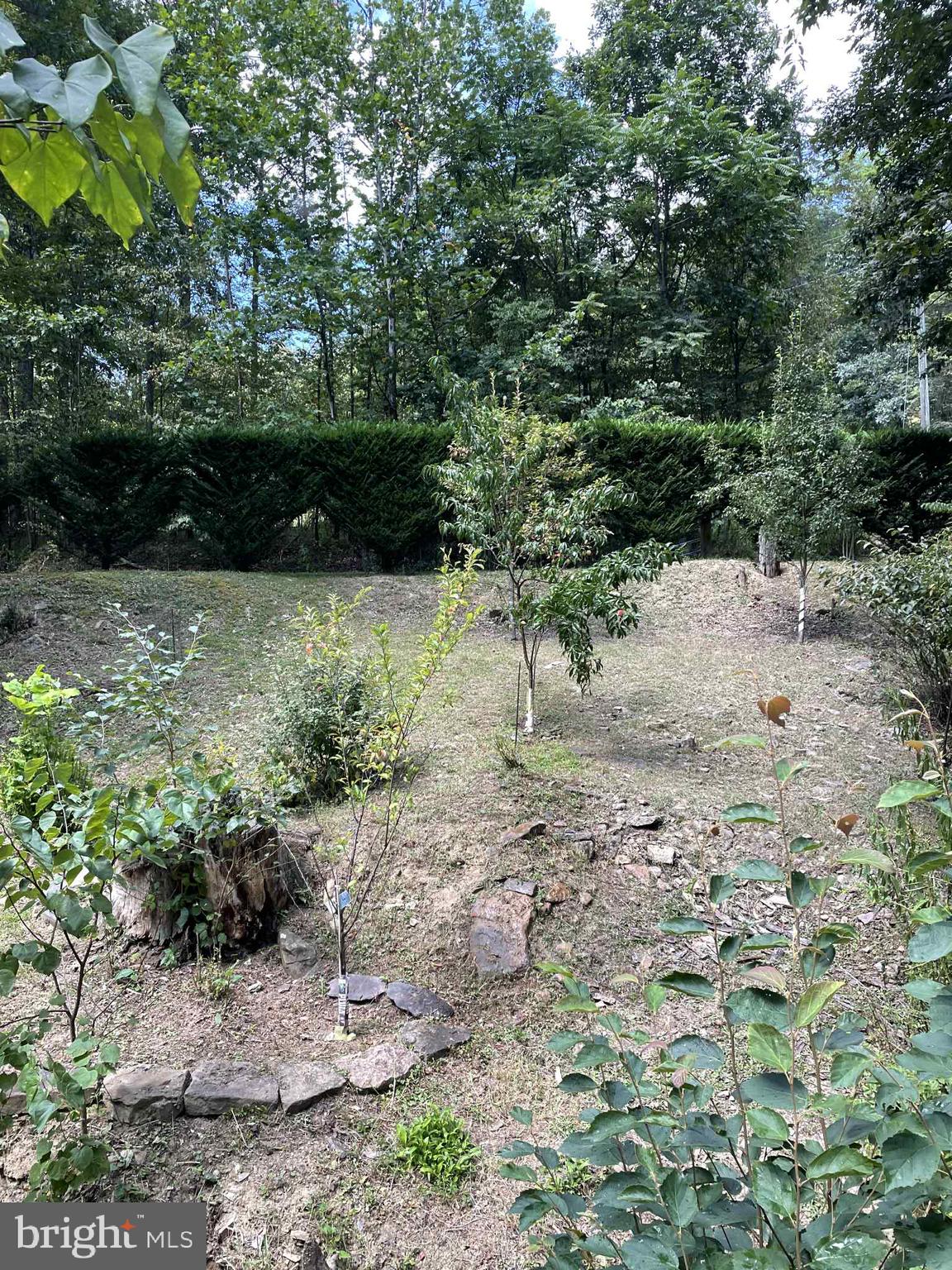 3837 Graces Cabin Road Springfield, WV 26757 - Photo 69 of 75